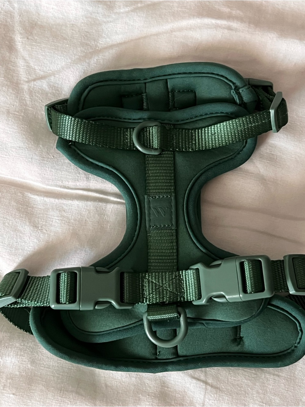 Wild One Cushioned Dog Harness Spruce Green Small